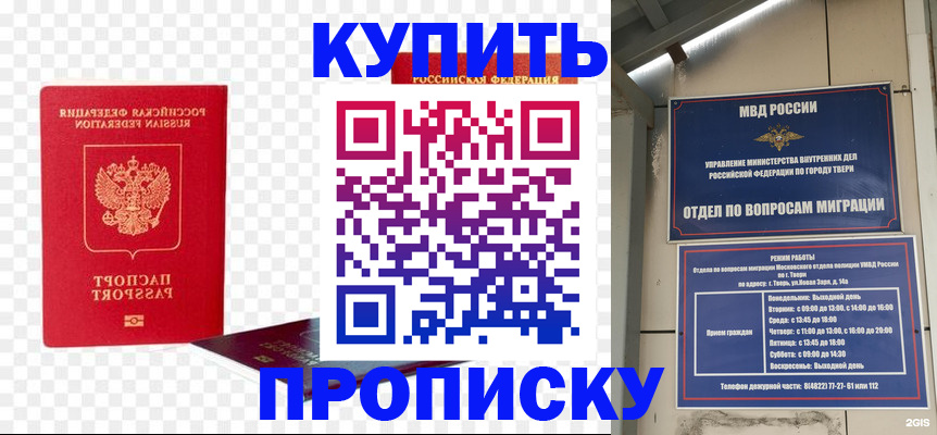 купить прописку в Вельске